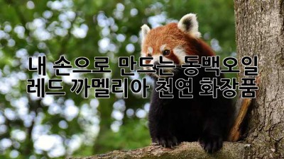 내 손으로 만드는 동백오일 레드 까멜리아 천연 화장품