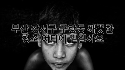 부산 강서구 구랑동 깨끗한 청소, 어디에 맡길까요?